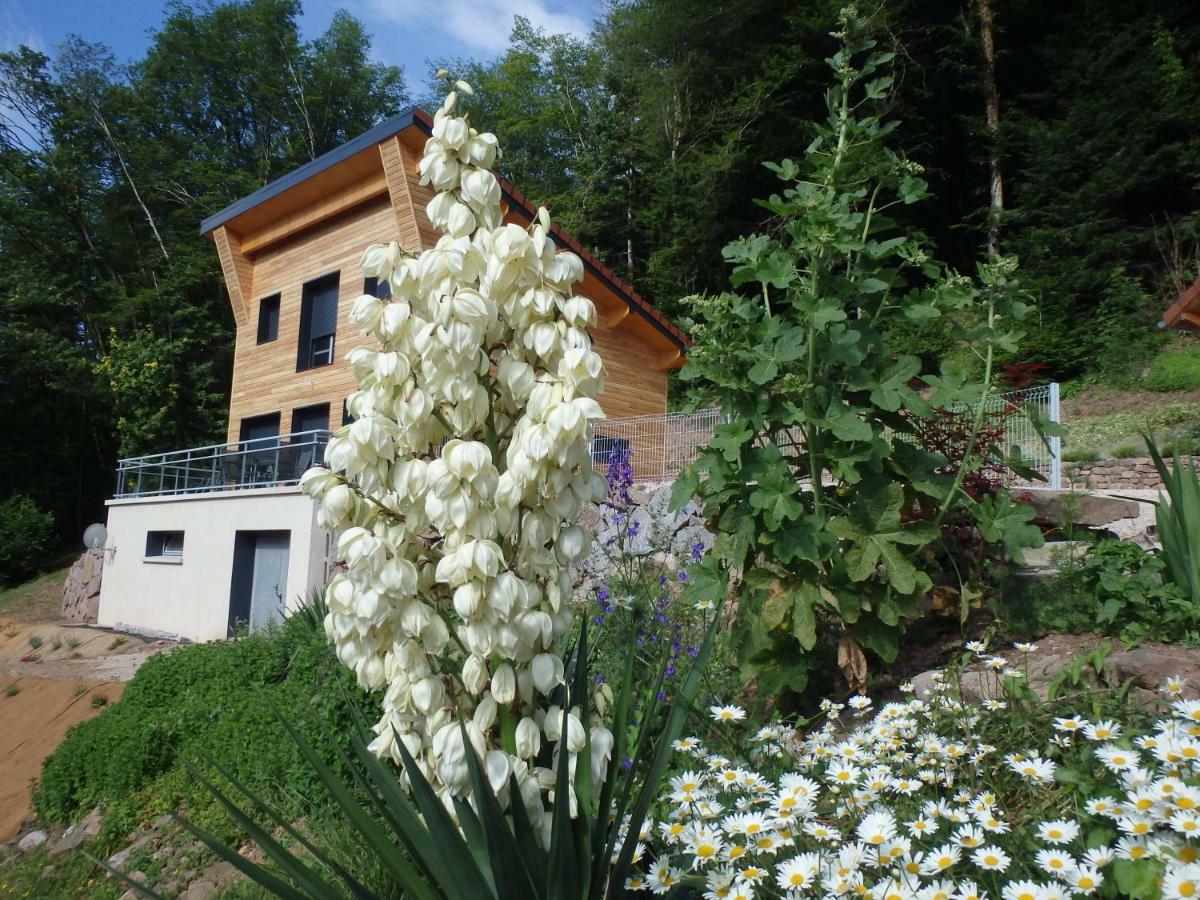 Villa Cora Venez Neuve Avec Spa Saint-Bresson Εξωτερικό φωτογραφία
