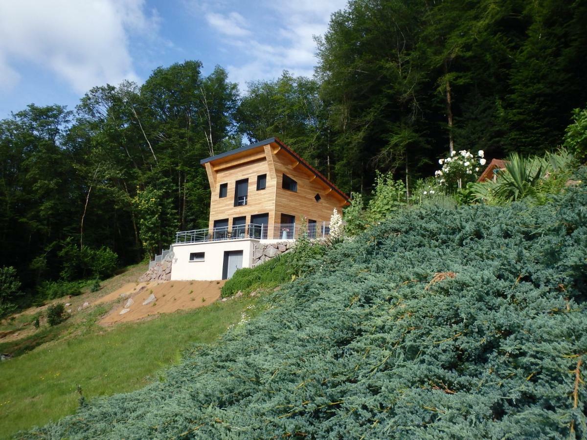 Villa Cora Venez Neuve Avec Spa Saint-Bresson Εξωτερικό φωτογραφία
