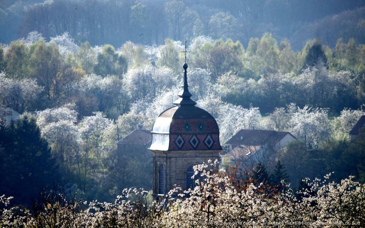 Villa Cora Venez Neuve Avec Spa Saint-Bresson Εξωτερικό φωτογραφία